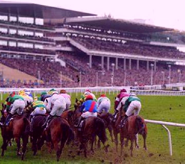 Virtual! Horse Racing at Cheltenham Festival slot